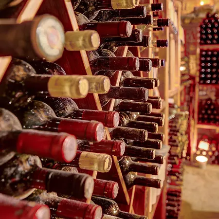 Martineli - A Beachfront Estate Villa Drios